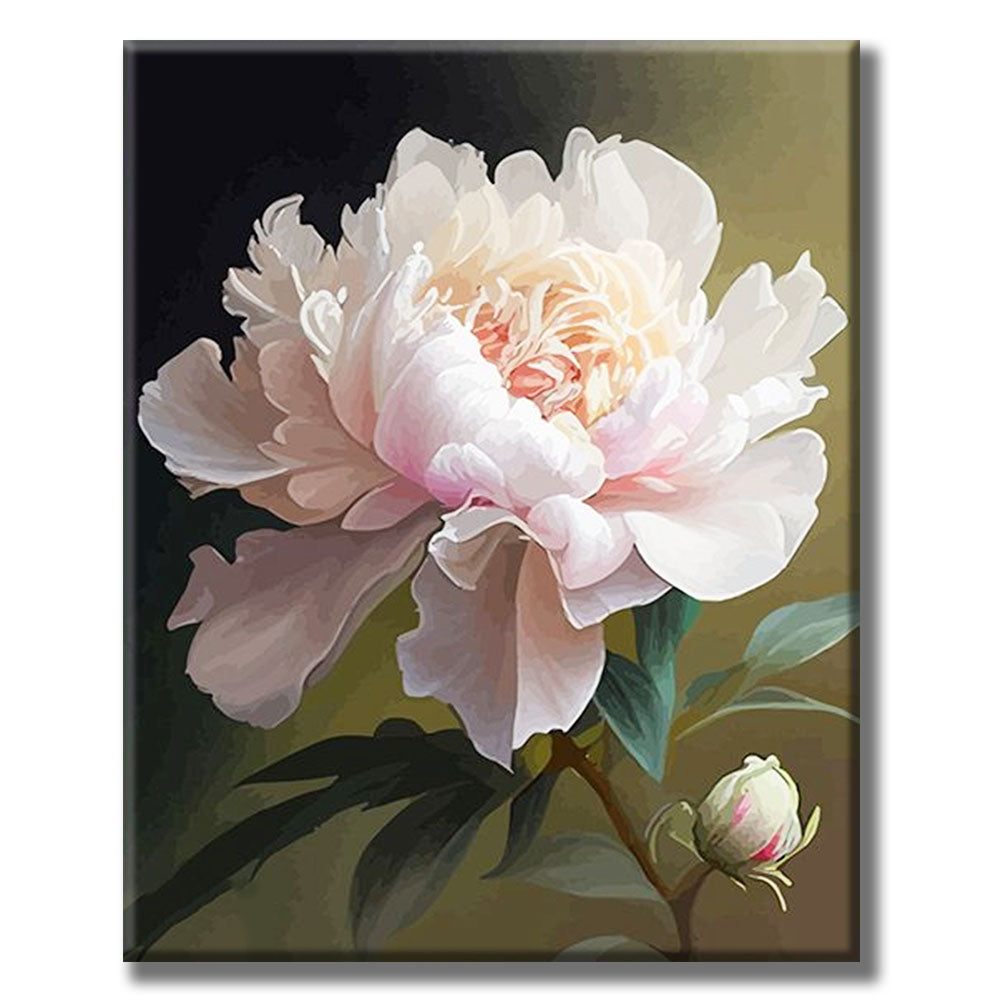 Delicate Pink Peony- Painting by Numbers