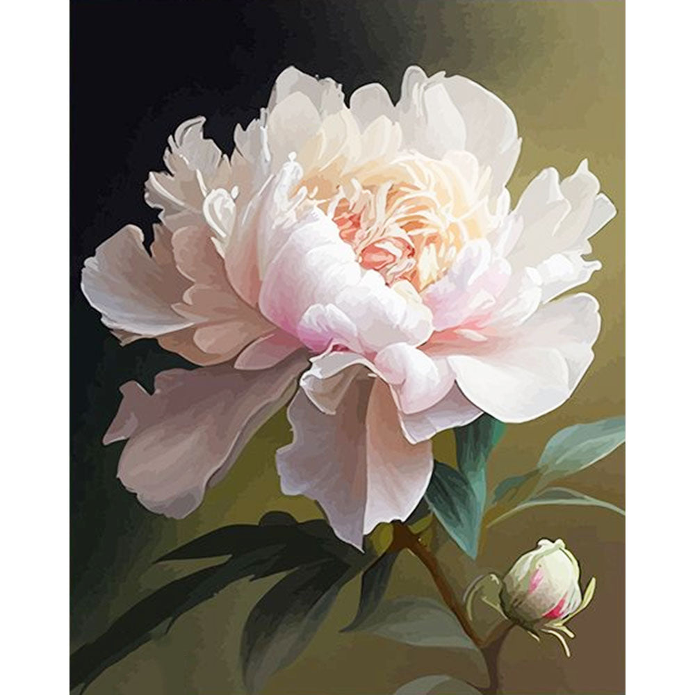 Delicate Pink Peony- Painting by Numbers
