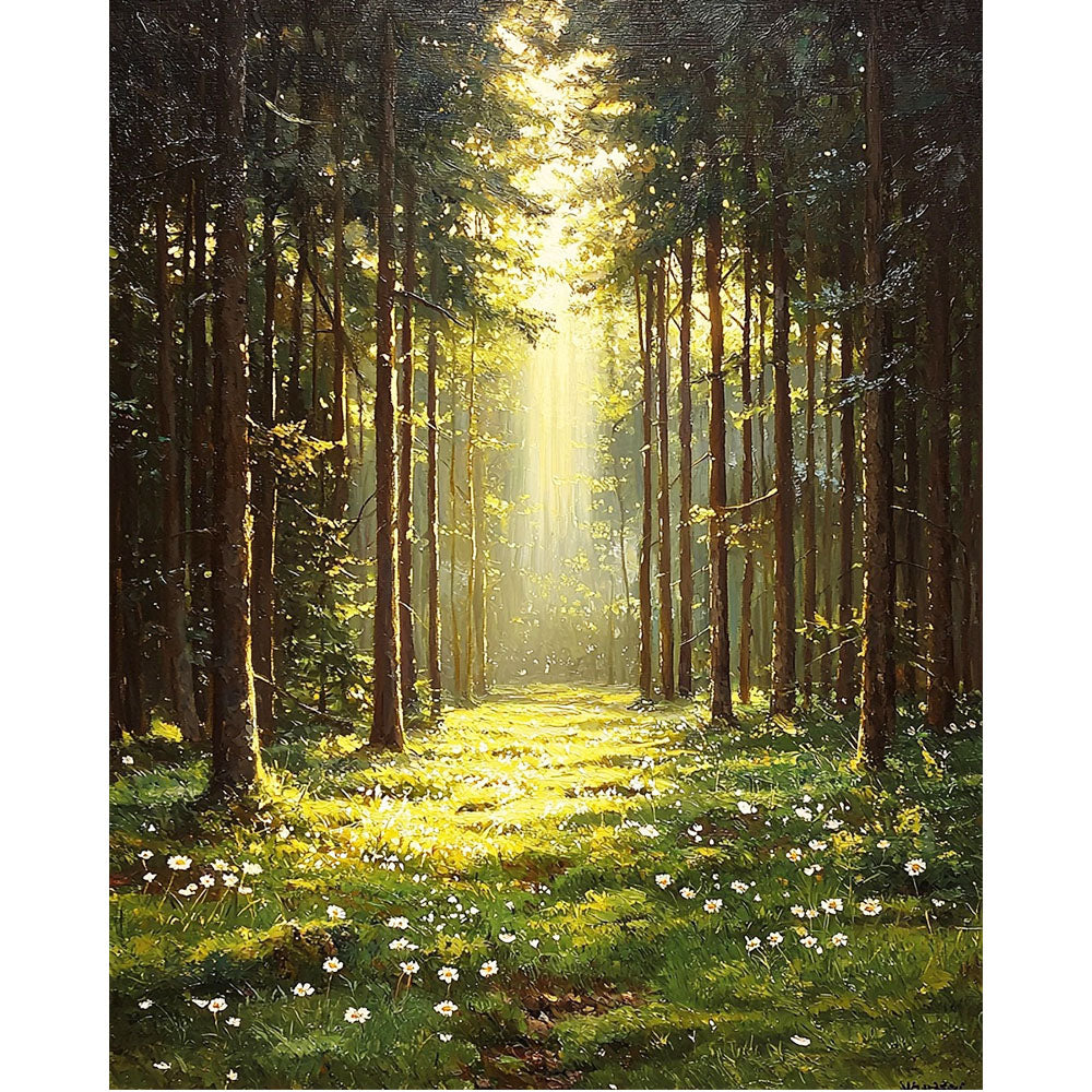 Magie des Morgenlichts- Malen nach Zahlen