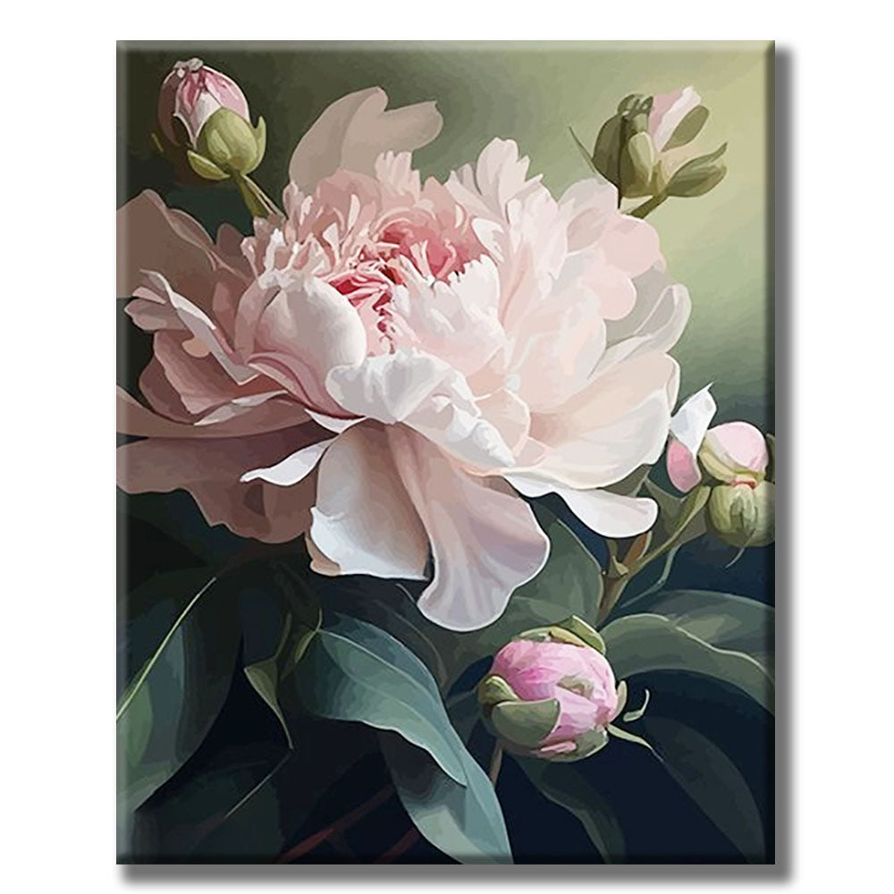 Pink Peony Bloom- Painting by Numbers