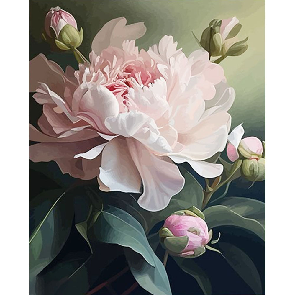 Pink Peony Bloom- Painting by Numbers