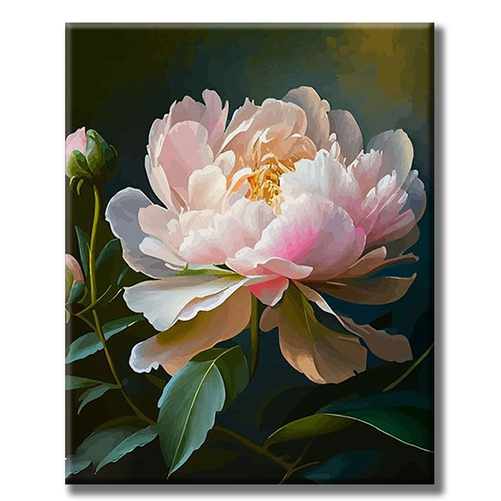 Soft - colored Peony- Painting by Numbers