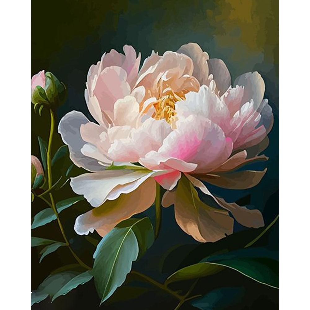 Soft - colored Peony- Painting by Numbers