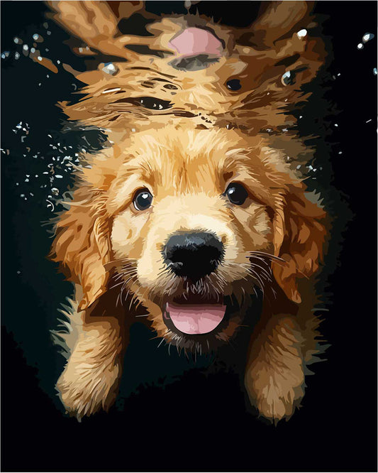 Tauchender Golden Retriever - Malen nach Zahlen