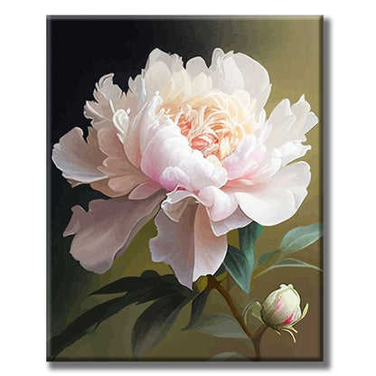 Delicate Pink Peony- Painting by Numbers