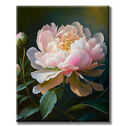 Soft - colored Peony- Painting by Numbers