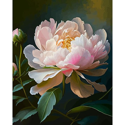 Soft - colored Peony- Painting by Numbers